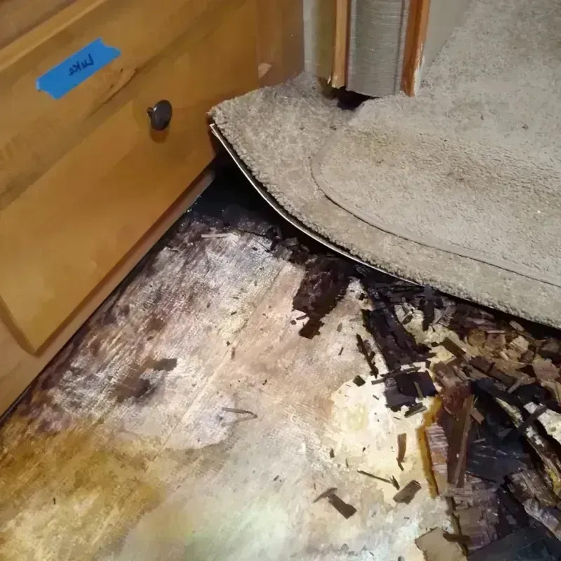 Best Wood Floor Water Damage Service in Richfield Springs, NY